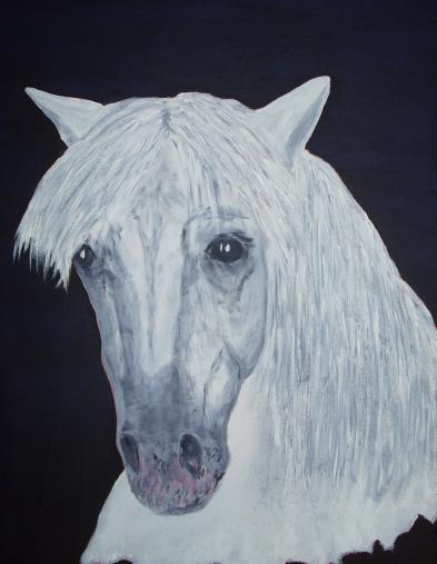 Weisses Pferd   (50x70)