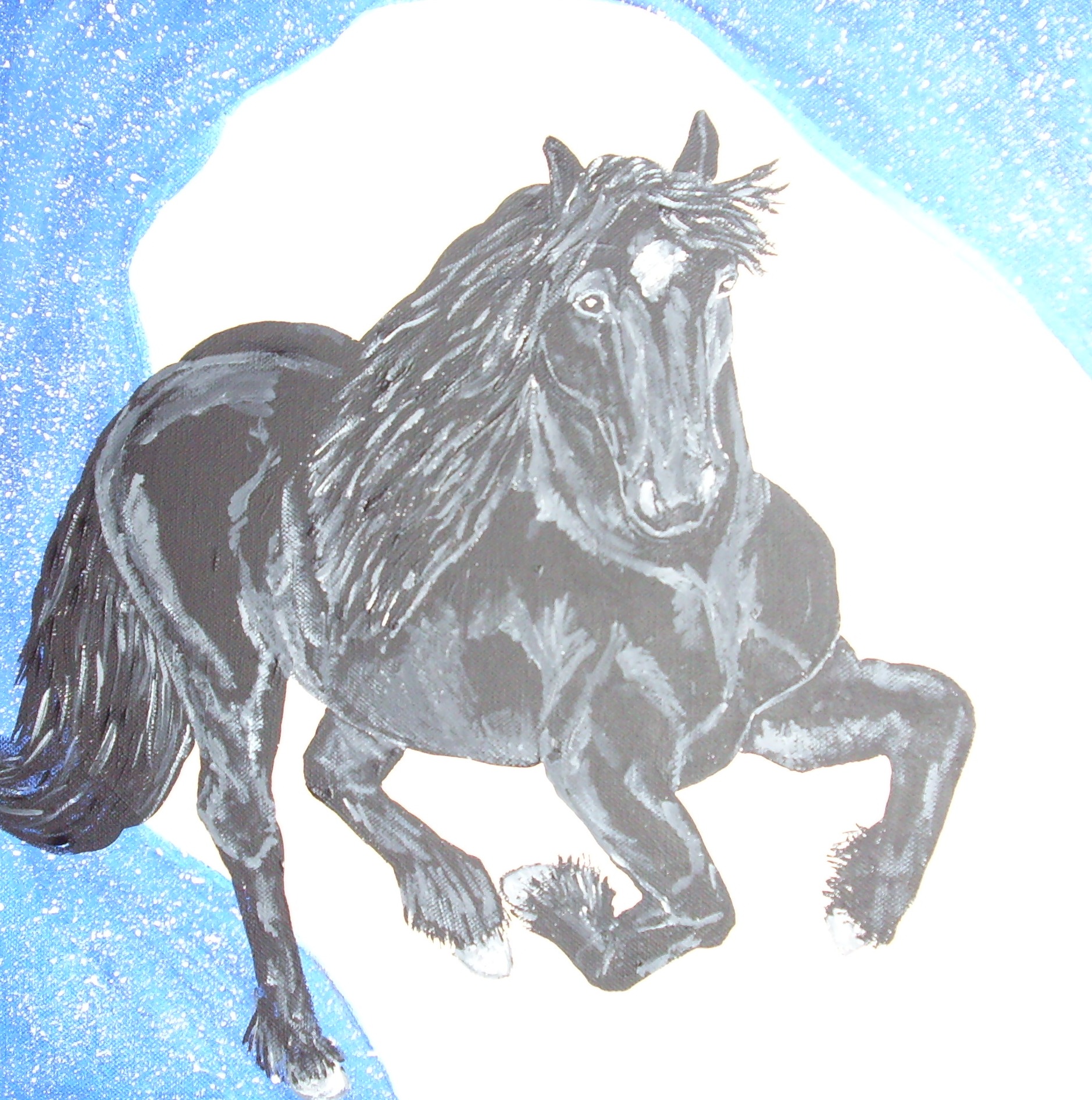 Schwarzes Pfrerd   (40x40)
