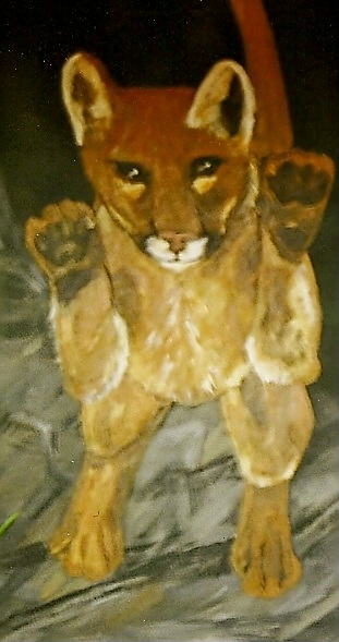 Puma im Sprung   ((30x60)