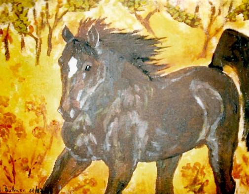 Pferd auf Wiese
