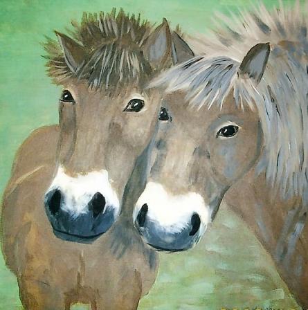 2 Dartmoor Ponys